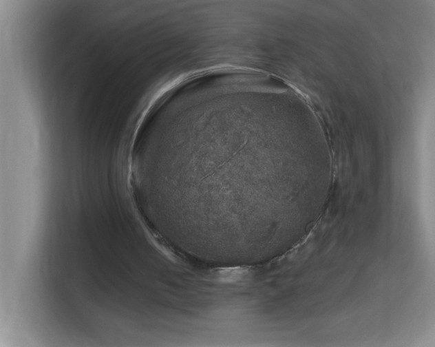 X0000113860050200909241316