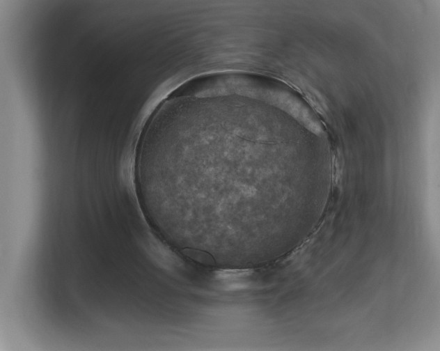 X0000113860051200909241316