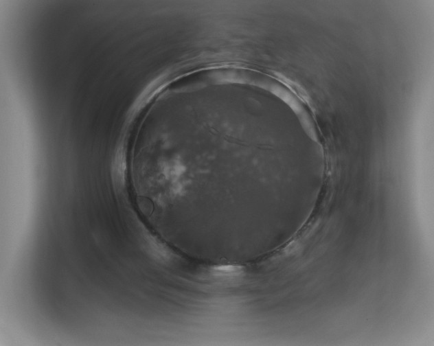 X0000113860053200909241316