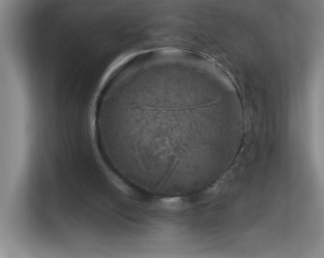 X0000113860054200909241316