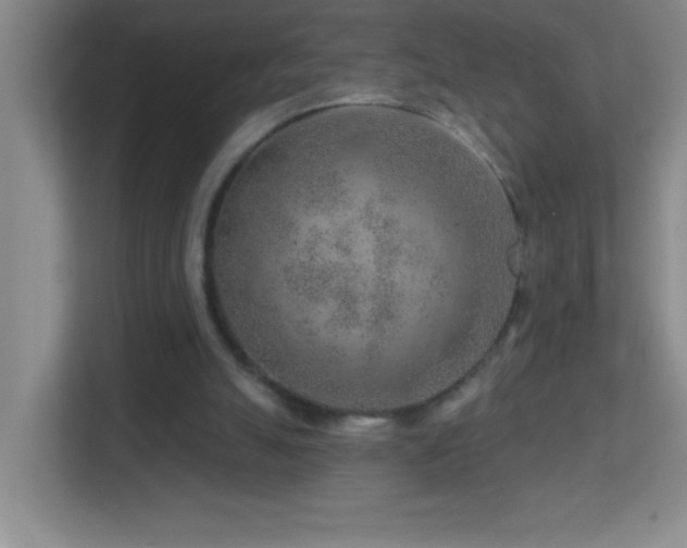 X0000113860055200909241316