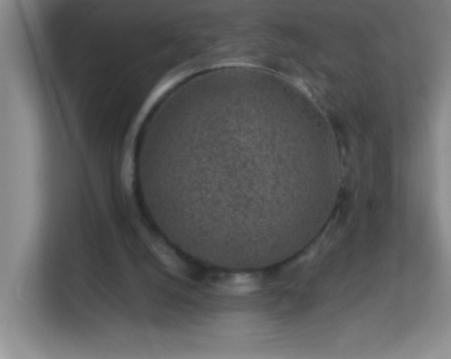 X0000113860056200909241316