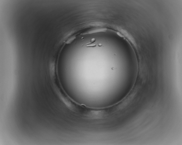 X0000113860057200909241316