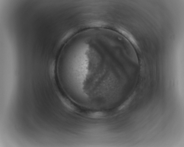 X0000113860058200909241316