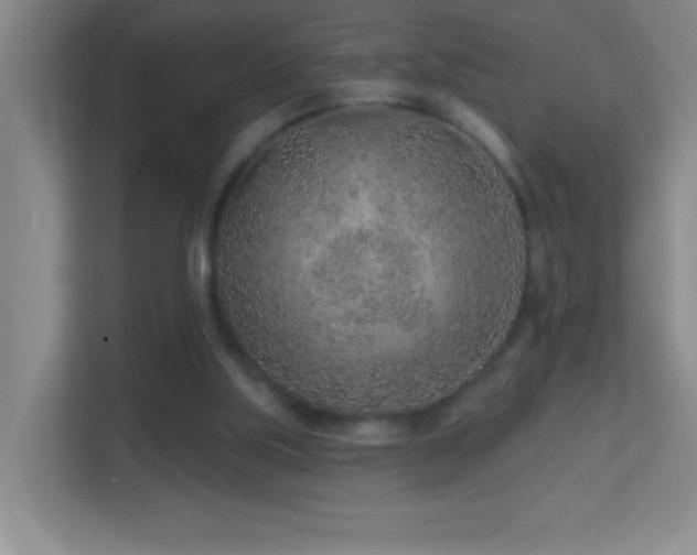 X0000113860059200909241316