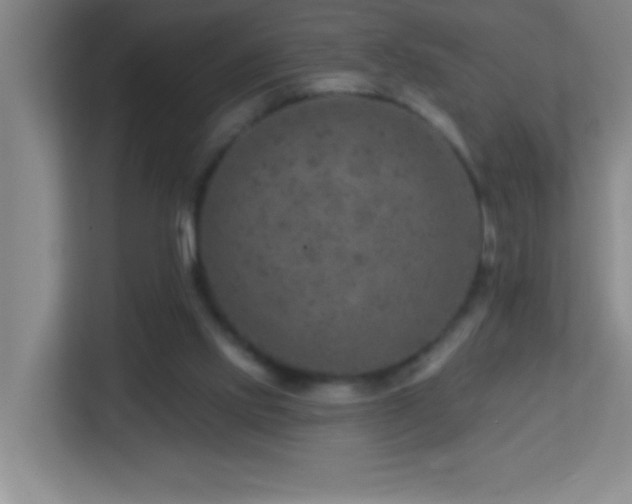 X0000113860061200909241316