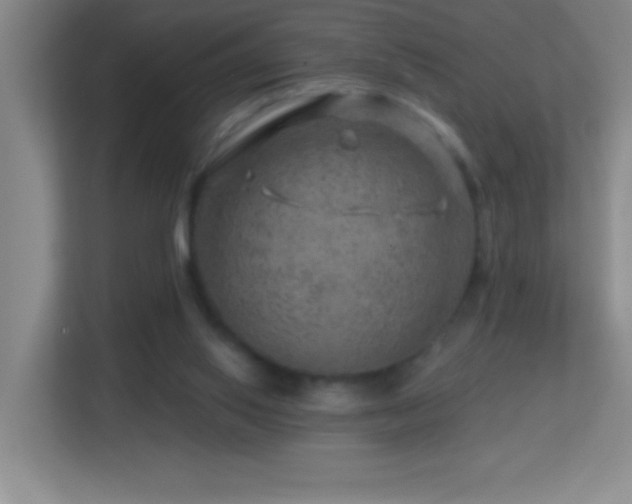 X0000113860062200909241316