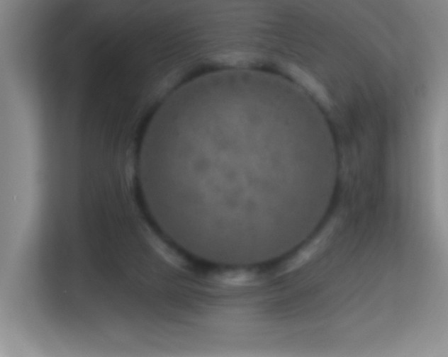 X0000113860065200909241316
