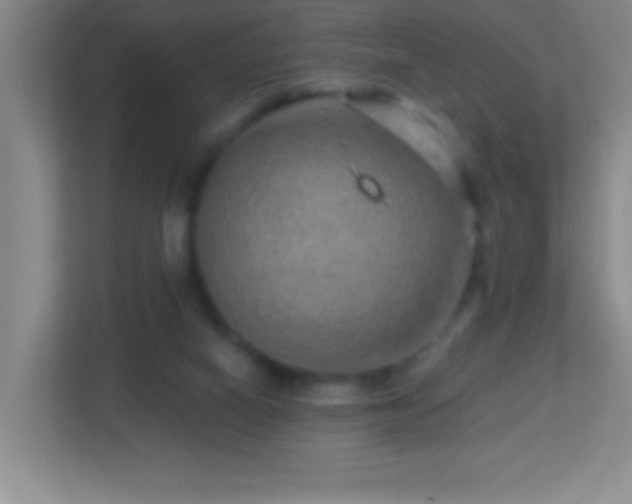 X0000113860066200909241316