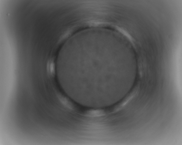 X0000113860067200909241316