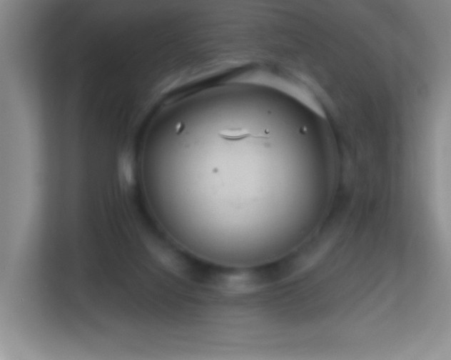 X0000113860068200909241316