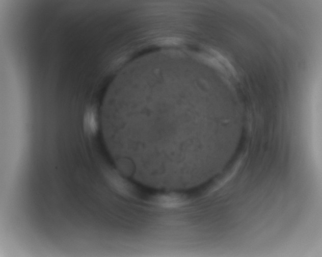 X0000113860069200909241316