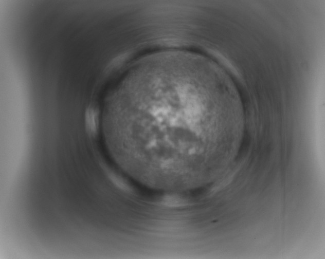 X0000113860070200909241316
