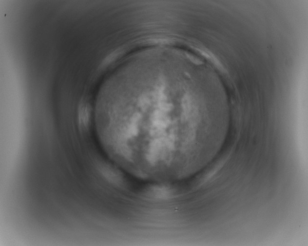 X0000113860071200909241316