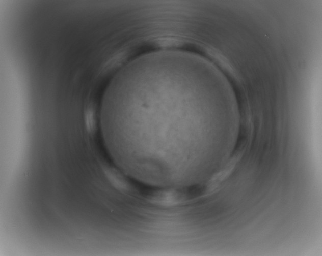 X0000113860074200909241316