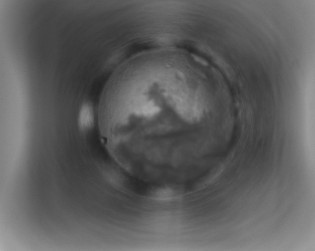X0000113860075200909241316