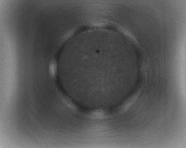 X0000113860076200909241316