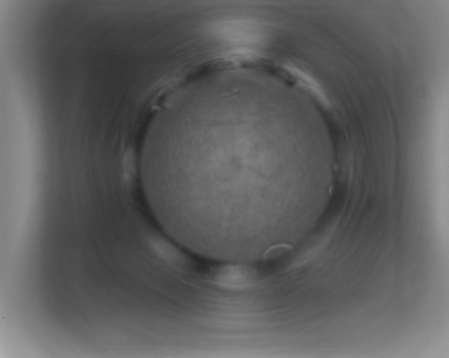 X0000113860077200909241316