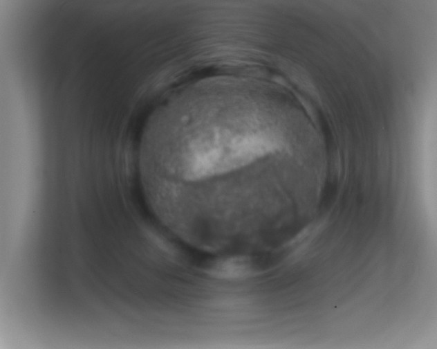 X0000113860078200909241316
