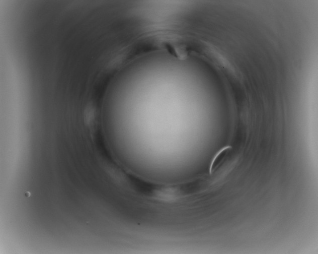 X0000113860079200909241316