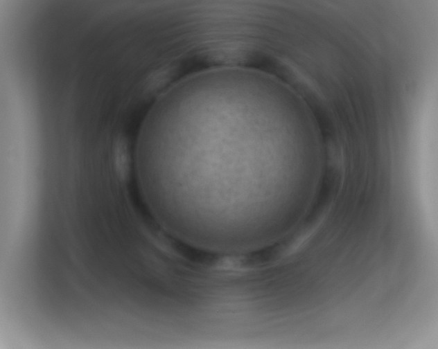 X0000113860080200909241316