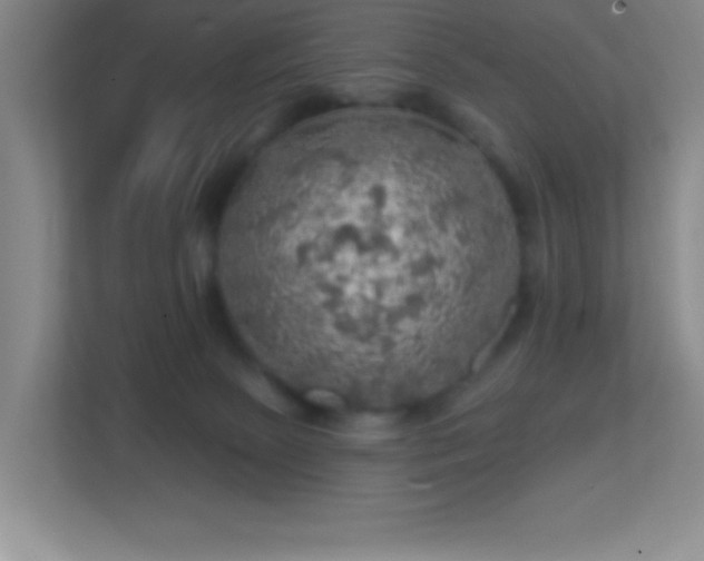 X0000113860081200909241316