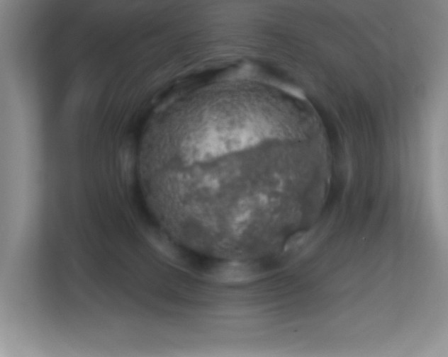 X0000113860082200909241316