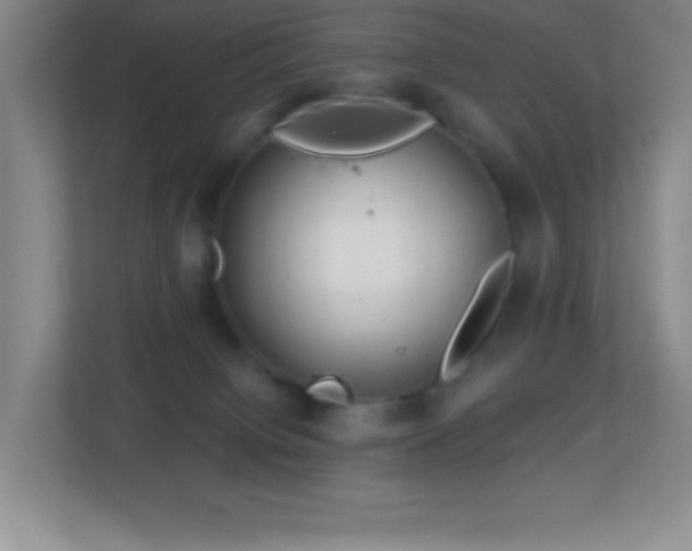 X0000113860084200909241316