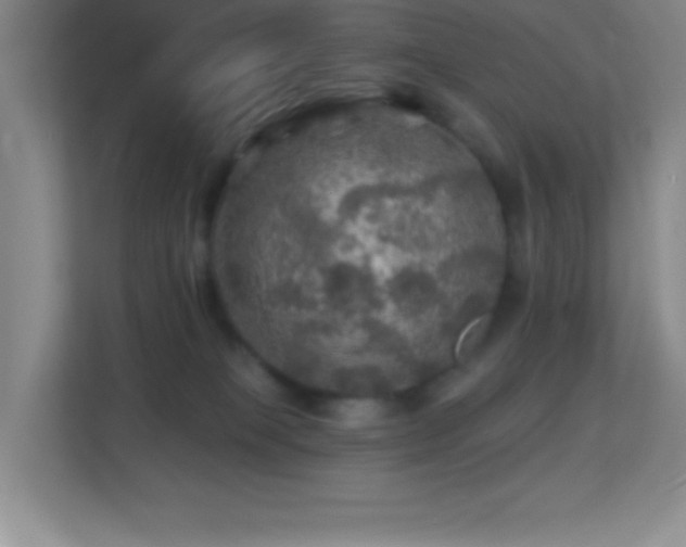 X0000113860085200909241316