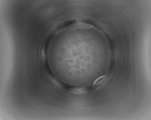 X0000113860086200909241316
