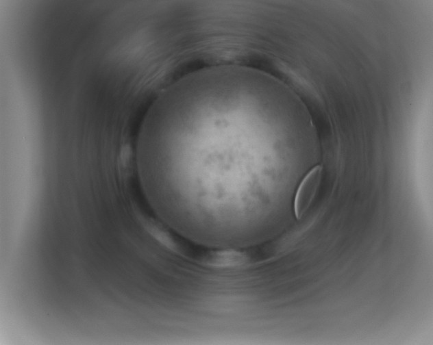 X0000113860087200909241316