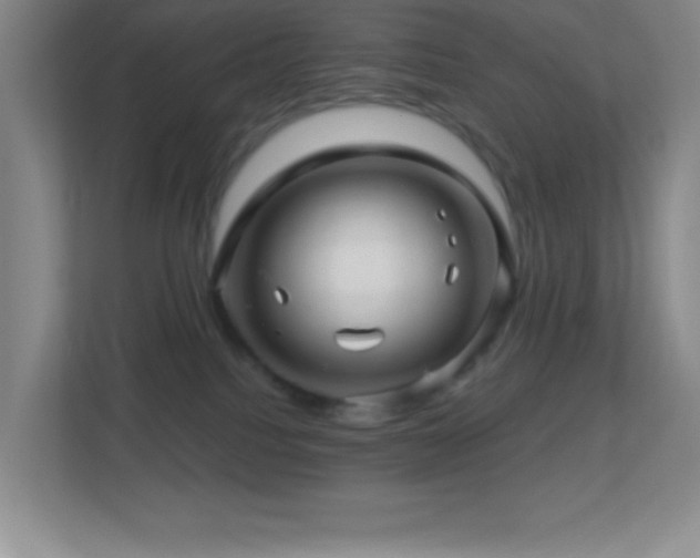 X0000113860088200909241316