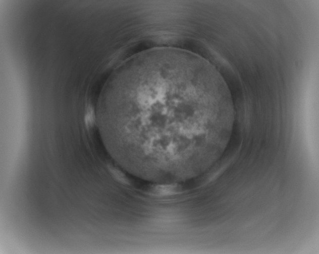 X0000113860089200909241316