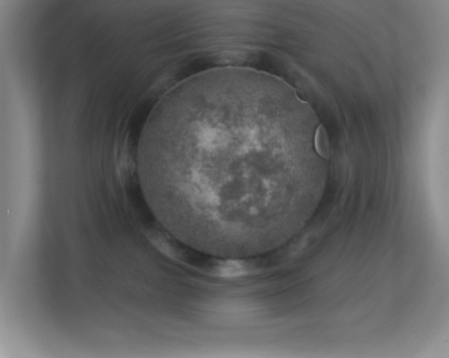 X0000113860091200909241316