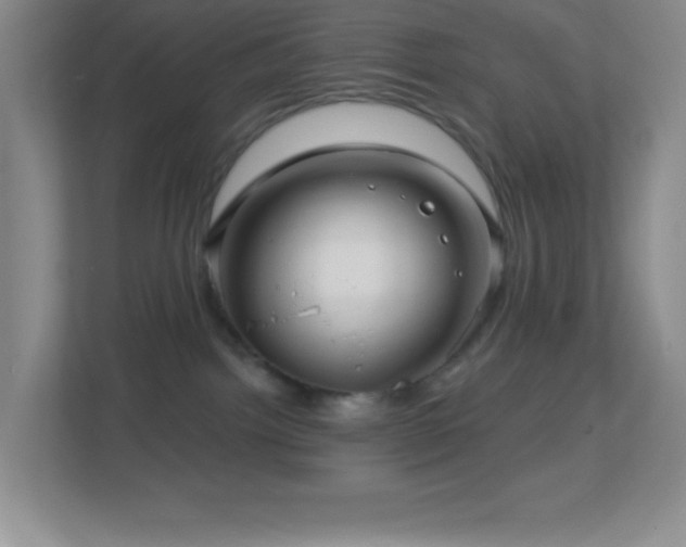 X0000113860092200909241316