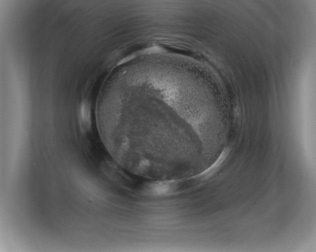 X0000113860094200909241316
