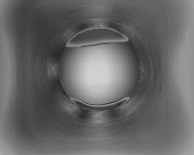 X0000113860096200909241316