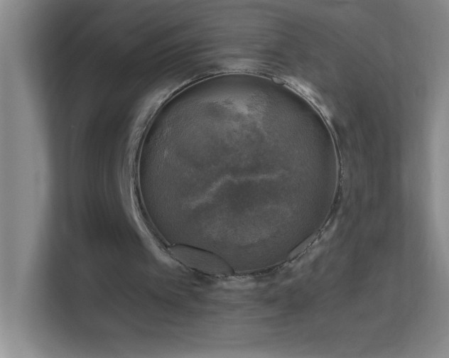 X0000113860097200909241316