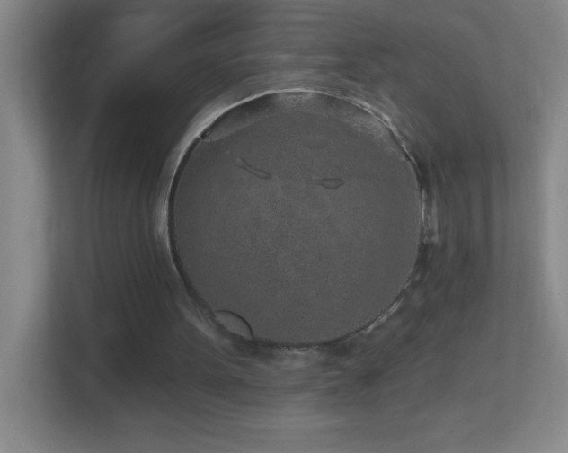 X0000113860099200909241316