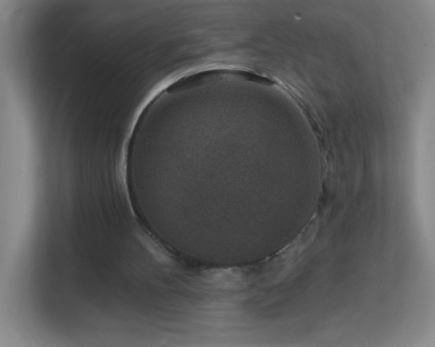 X0000113860100200909241316