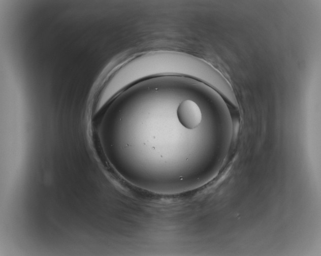 X0000113860101200909241316