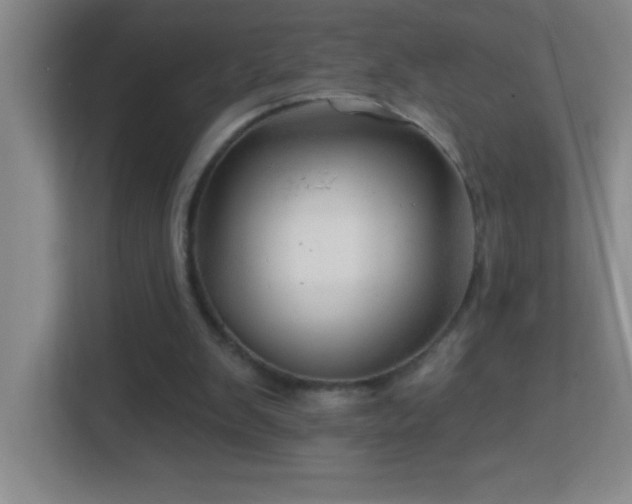 X0000113860103200909241316