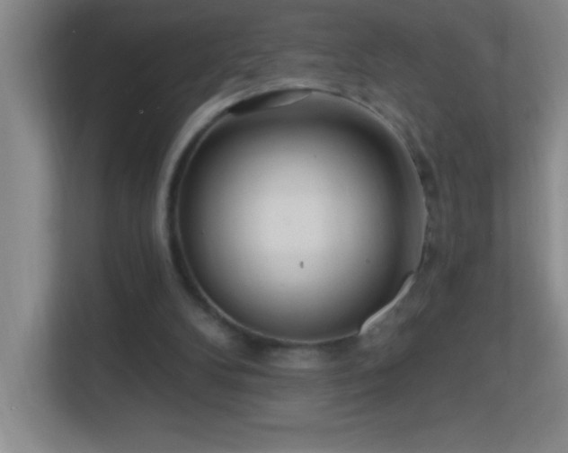 X0000113860104200909241316