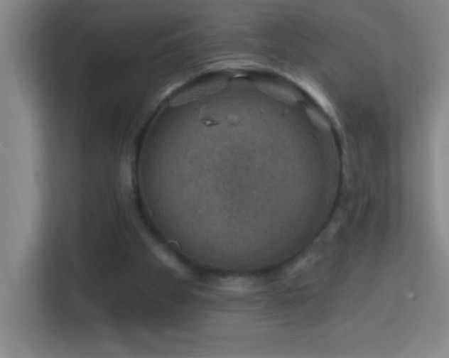 X0000113860105200909241316