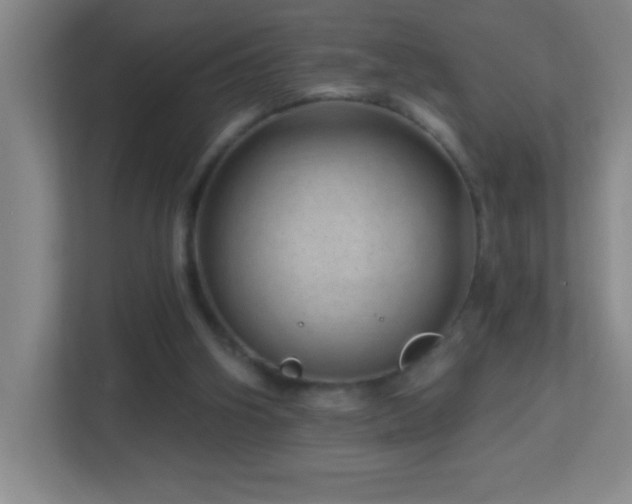 X0000113860106200909241316