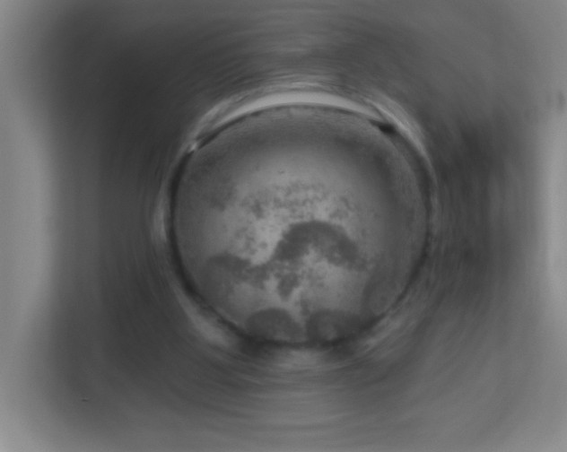 X0000113860107200909241316