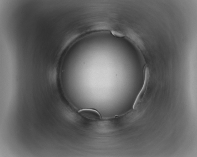 X0000113860108200909241316