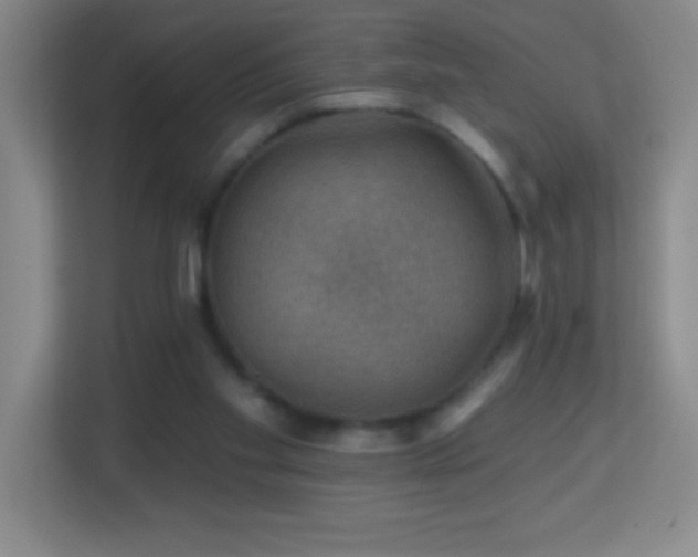X0000113860109200909241316