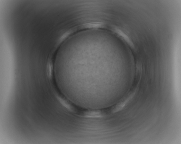 X0000113860110200909241316