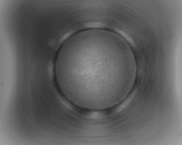 X0000113860111200909241316